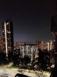 Cuscaden Reserve (D10), Condominium #496188271